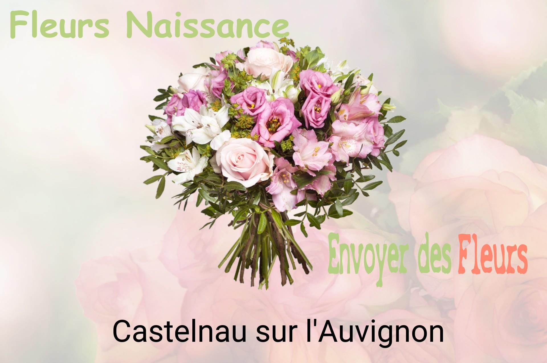 Bouquet de fleurs de naissance livré à Castelnau-sur-l'Auvignon