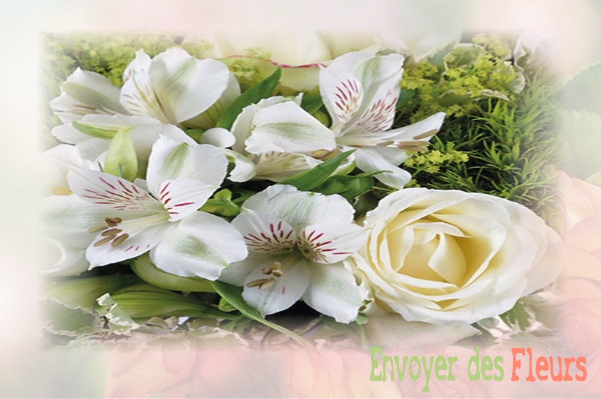 envoyer des fleurs à à CASTELNAU-SUR-L-AUVIGNON